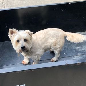 Meet your Posher, Camille